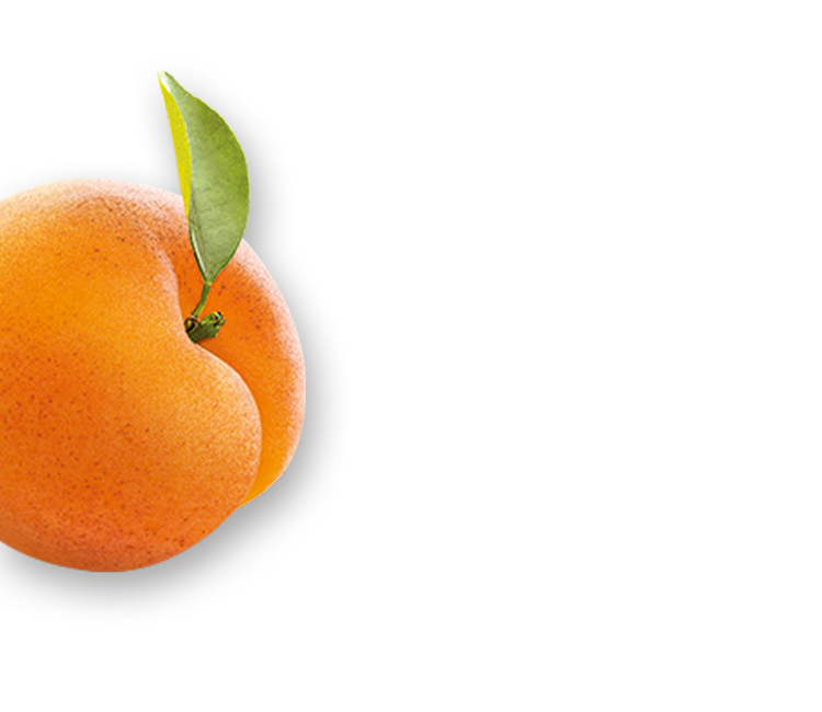 Apricot left
